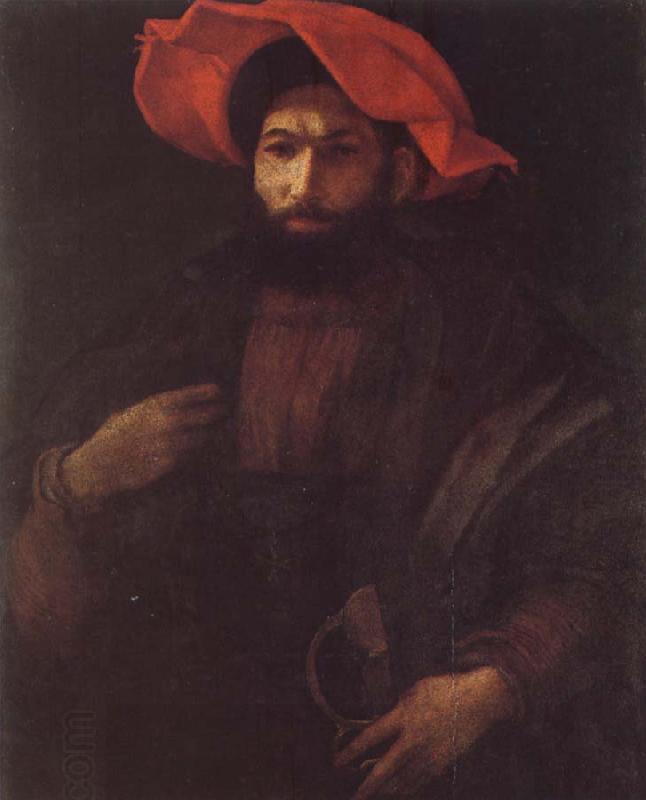 Rosso Fiorentino Portrait of a Kinight oil painting picture